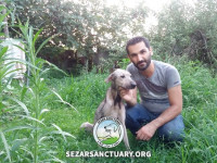 26-homa-sezar-sanctuary