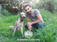 30-homa-sezar-sanctuary