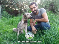 31-homa-sezar-sanctuary