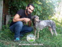 38-homa-sezar-sanctuary