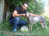 40-homa-sezar-sanctuary