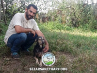 46-homa-sezar-sanctuary