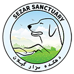 Sezar Sanctuary