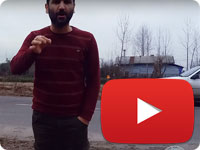 Drive Safely and Watch Out for Wildlife