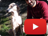 Update on a rescued stray dog mother - Lucy II