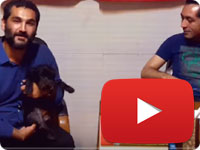 Owner surrender disabled dog at the vet - Nero