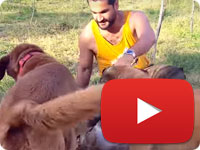 A great day with our innocent rescues and watching them play